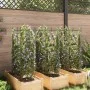 Tutores para tomates 6 unidades acero y PP 116 cm de , Soportes para macetas - Ref: Foro24-3281487, Precio: 75,07 €, Descuent...