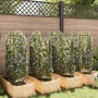 Tomatenkäfige, 8 Stück, aus Stahl und PP, 116 cm. von , Topfständer - Ref: Foro24-3281491, Preis: 126,53 €, Rabatt: %