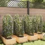 Tutores para tomates 8 unidades acero y PP 116 cm by , Pot stands - Ref: Foro24-3281491, Price: 87,50 €, Discount: %
