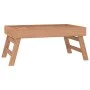 Klapptablett aus massivem Teakholz 55x35x25 cm von , Tabletts - Ref: Foro24-340762, Preis: 39,45 €, Rabatt: %