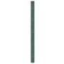 Unkrautvlies PP grün 2x100 m von , Anti-Unkraut-Netze - Ref: Foro24-4005266, Preis: 81,95 €, Rabatt: %
