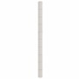 Unkrautvlies PP weiß 2x50 m von , Anti-Unkraut-Netze - Ref: Foro24-4005922, Preis: 37,26 €, Rabatt: %