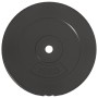 Discos de pesas 2 uds 30 kg cemento de vidaXL, Peso libre - Ref: Foro24-93598, Precio: 89,15 €, Descuento: %
