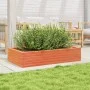 Jardinera madera maciza de pino marrón cera 110x60x23 cm de , Maceteros y jardineras - Ref: Foro24-847240, Precio: 82,86 €, D...