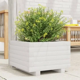 Massive Holzblumenkasten aus weißer Kiefer 40x40x26,5 cm von , Töpfe und Pflanzgefäße - Ref: Foro24-847289, Preis: 51,97 €, R...