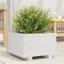 Jardinera de madera maciza de pino blanco 40x40x26,5 cm by , Pots and planters - Ref: Foro24-847289, Price: 46,77 €, Discount: %