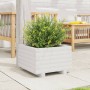 Jardinera de madera maciza de pino blanco 40x40x26,5 cm by , Pots and planters - Ref: Foro24-847289, Price: 52,49 €, Discount: %