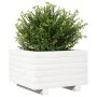 Jardinera de madera maciza de pino blanco 40x40x26,5 cm by , Pots and planters - Ref: Foro24-847289, Price: 46,77 €, Discount: %