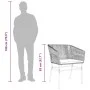 Gartensofas mit Kissen, 2 Stück, braunes Kunststoff-Rattan von , Gartenstühle - Ref: Foro24-369103, Preis: 134,65 €, Rabatt: %