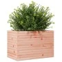 Massive Blumenkasten aus Douglasien-Tannenholz, 70x40x45,5 cm. von , Töpfe und Pflanzgefäße - Ref: Foro24-847266, Preis: 81,2...
