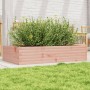 Massive Blumenkasten aus Douglasien-Tannenholz 110x60x23 cm. von , Töpfe und Pflanzgefäße - Ref: Foro24-847241, Preis: 74,54 ...