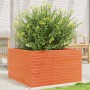 Jardinera de madera maciza de pino marrón cera 80x80x45,5 cm de , Maceteros y jardineras - Ref: Foro24-847260, Precio: 144,76...