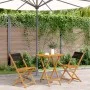 Juego de bistro de 3 piezas polipropileno y madera maciza negro by , Garden sets - Ref: Foro24-3281841, Price: 152,81 €, Disc...