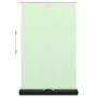 Grüner Fotografiehintergrund 95" 4:3 von vidaXL, Geld - Ref: Foro24-51351, Preis: 100,13 €, Rabatt: %