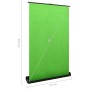 Grüner Fotografiehintergrund 95" 4:3 von vidaXL, Geld - Ref: Foro24-51351, Preis: 100,13 €, Rabatt: %