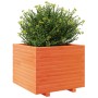 Massive Holzblumenkasten aus braunem Kiefernholz mit Wachsbeschichtung, 60x60x49,5 cm. von , Töpfe und Pflanzgefäße - Ref: Fo...