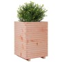 Jardinera madera maciza de abeto Douglas 50x50x72 cm de , Maceteros y jardineras - Ref: Foro24-3282612, Precio: 164,89 €