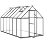 Gewächshaus mit anthrazitfarbenem Aluminiumrahmen 334x169x195 cm von , Gewächshäuser - Ref: Foro24-3266328, Preis: 592,22 €, ...