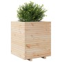 Massive Holzblumenkasten aus Kiefer 60x60x72 cm. von , Töpfe und Pflanzgefäße - Ref: Foro24-3282614, Preis: 184,45 €, Rabatt: %