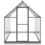 Gewächshaus mit anthrazitfarbenem Aluminiumrahmen 334x169x202 cm von , Gewächshäuser - Ref: Foro24-3266331, Preis: 632,18 €, ...