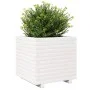 Massive Blumenkasten aus weißem Kiefernholz 50x50x49,5 cm von , Töpfe und Pflanzgefäße - Ref: Foro24-3282515, Preis: 133,17 €...