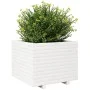 Jardinera madera maciza de pino blanco 60x60x49,5 cm by , Pots and planters - Ref: Foro24-3282520, Price: 157,14 €, Discount: %