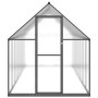 Gewächshaus mit anthrazitfarbenem Aluminiumrahmen 445x169x195 cm von , Gewächshäuser - Ref: Foro24-3266334, Preis: 681,82 €, ...