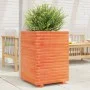 Jardinera madera maciza de pino marrón cera 50x50x72 cm de , Maceteros y jardineras - Ref: Foro24-3282611, Precio: 184,07 €, ...