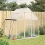 Gewächshaus mit silbernem Aluminiumrahmen 169x169x195 cm von , Gewächshäuser - Ref: Foro24-4005828, Preis: 329,89 €, Rabatt: %