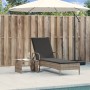 Lounger with wheels and gray synthetic rattan cushion by , Loungers - Ref: Foro24-368310, Price: 164,40 €, Discount: %