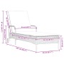 Lounger with wheels and gray synthetic rattan cushion by , Loungers - Ref: Foro24-368310, Price: 164,40 €, Discount: %