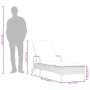 Wheelchair with synthetic beige rattan cushion by , Loungers - Ref: Foro24-368312, Price: 187,74 €, Discount: %