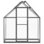 Gewächshaus mit anthrazitfarbenem Aluminiumrahmen, 169x58x195 cm. von , Gewächshäuser - Ref: Foro24-4005818, Preis: 370,60 €,...