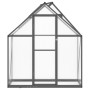 Gewächshaus mit anthrazitfarbenem Aluminiumrahmen, 169x58x195 cm. von , Gewächshäuser - Ref: Foro24-4005818, Preis: 362,13 €,...