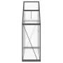 Gewächshaus mit anthrazitfarbenem Aluminiumrahmen, 169x58x195 cm. von , Gewächshäuser - Ref: Foro24-4005818, Preis: 370,60 €,...