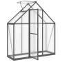Gewächshaus mit anthrazitfarbenem Aluminiumrahmen, 169x58x195 cm. von , Gewächshäuser - Ref: Foro24-4005818, Preis: 370,60 €,...