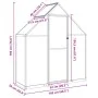 Gewächshaus mit anthrazitfarbenem Aluminiumrahmen, 169x58x195 cm. von , Gewächshäuser - Ref: Foro24-4005818, Preis: 370,60 €,...