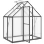 Gewächshaus mit anthrazitfarbenem Aluminiumrahmen, 169x114x195 cm. von , Gewächshäuser - Ref: Foro24-4005824, Preis: 457,56 €...