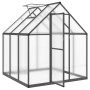 Invernadero con marco base aluminio antracita 169x169x195 cm de , Invernaderos - Ref: Foro24-4005830, Precio: 459,07 €, Descu...