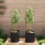 Support for tomatoes with 2 steel and PP bags, 116 cm. by , Pot stands - Ref: Foro24-4009284, Price: 55,50 €, Discount: %