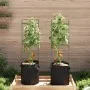 Support for tomatoes with 2 steel and PP bags, 116 cm. by , Pot stands - Ref: Foro24-4009284, Price: 51,29 €, Discount: %