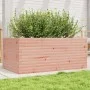 Massive Blumenkasten aus Douglasien-Tannenholz, 110x60x46 cm. von , Töpfe und Pflanzgefäße - Ref: Foro24-3282462, Preis: 172,...