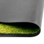 Grüne waschbare Fußmatte 60x90 cm von vidaXL, Fußmatten - Ref: Foro24-323428, Preis: 35,76 €, Rabatt: %