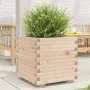 Jardinera madera maciza de pino 50x50x49,5 cm de , Maceteros y jardineras - Ref: Foro24-3282514, Precio: 111,83 €, Descuento: %
