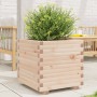 Massive Holzblumenkasten aus Kiefer 50x50x49,5 cm von , Töpfe und Pflanzgefäße - Ref: Foro24-3282514, Preis: 113,26 €, Rabatt: %