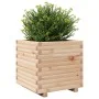 Jardinera madera maciza de pino 50x50x49,5 cm de , Maceteros y jardineras - Ref: Foro24-3282514, Precio: 111,83 €, Descuento: %
