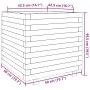 Jardinera madera maciza de pino 50x50x49,5 cm de , Maceteros y jardineras - Ref: Foro24-3282514, Precio: 111,83 €, Descuento: %