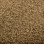 Braune waschbare Fußmatte 60x90 cm von vidaXL, Fußmatten - Ref: Foro24-323434, Preis: 33,07 €, Rabatt: %