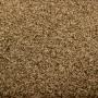 Braune waschbare Fußmatte 120x180 cm von vidaXL, Fußmatten - Ref: Foro24-323438, Preis: 97,27 €, Rabatt: %