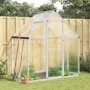 Greenhouse with silver aluminum base frame 169x114x195 cm by , Greenhouses - Ref: Foro24-4005822, Price: 313,77 €, Discount: %
